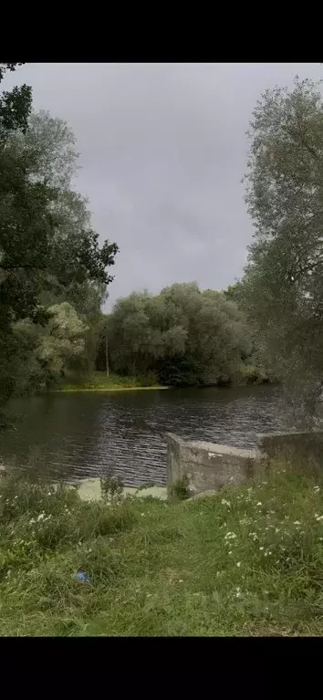 Участок в Калужская область, Жуковский муниципальный округ, с. Совхоз ... - Фото 2