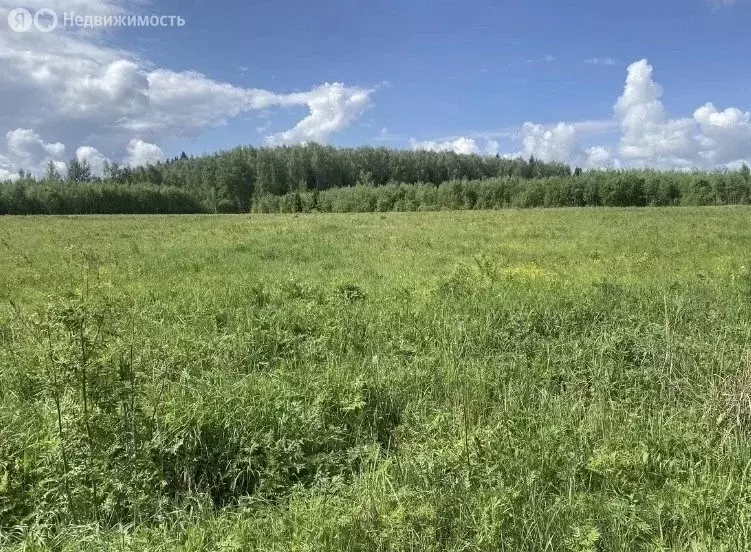 Участок в Московская область, городской округ Ступино (144 м) - Фото 1