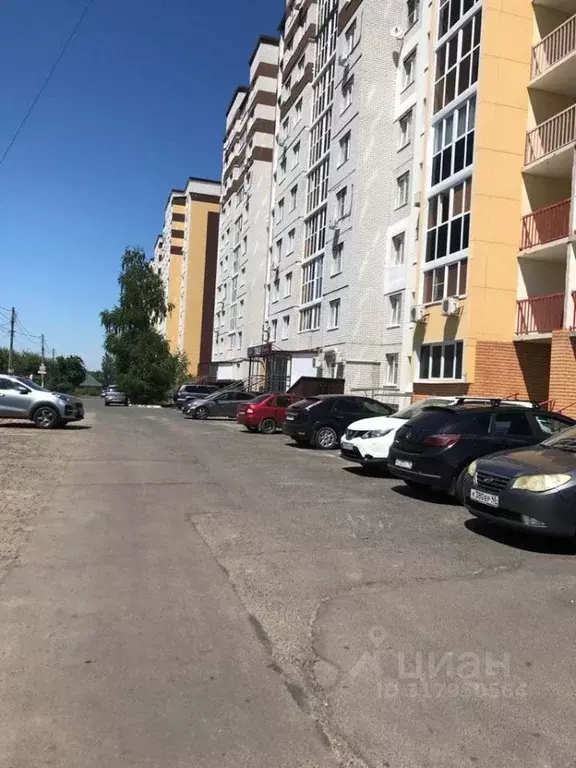 Помещение свободного назначения в Курская область, Курск просп. ... - Фото 1