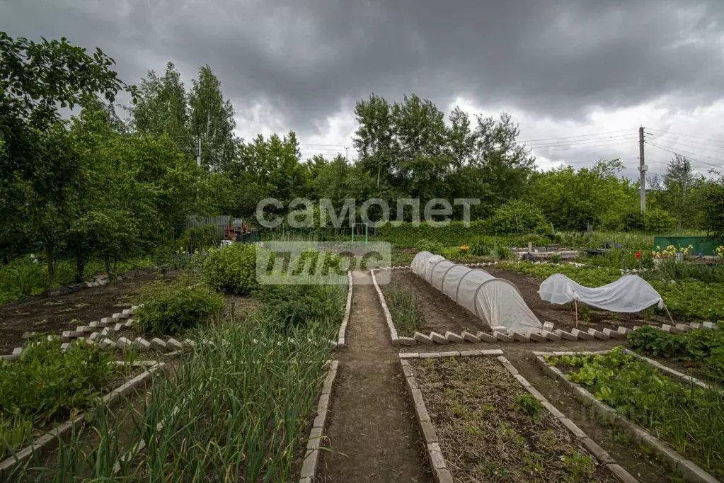 Участок в Нижегородская область, Нижний Новгород 40 лет Октября СНТ,  ... - Фото 1