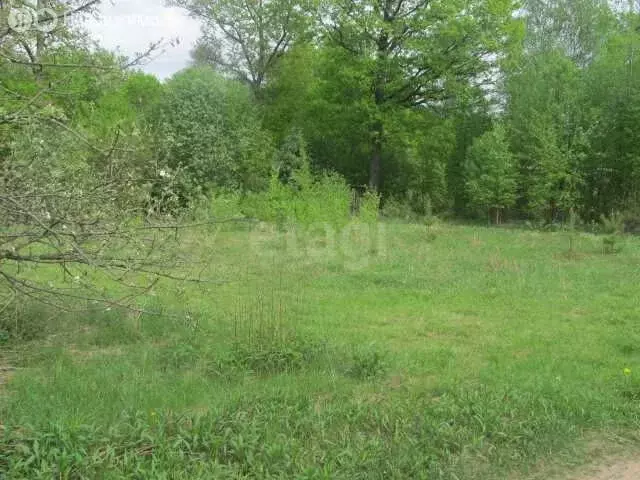 Участок в Курганская область, Кетовский муниципальный округ, ДНТ Южный ... - Фото 1