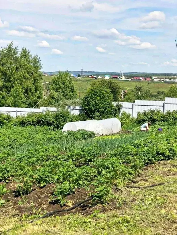 Участок в Красноярский край, Емельяновский муниципальный округ, Луч ... - Фото 2