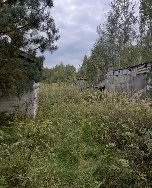 Участок в Московская область, Шатура муниципальный округ, пос. ... - Фото 1