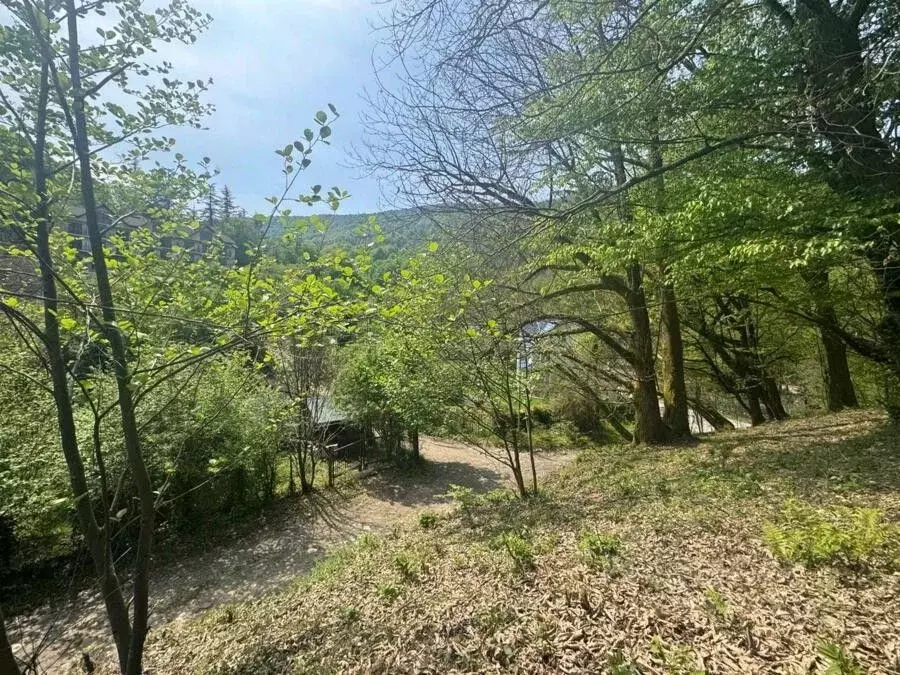 Участок в Краснодарский край, Сочи городской округ, с. Солохаул  (16.0 ... - Фото 1