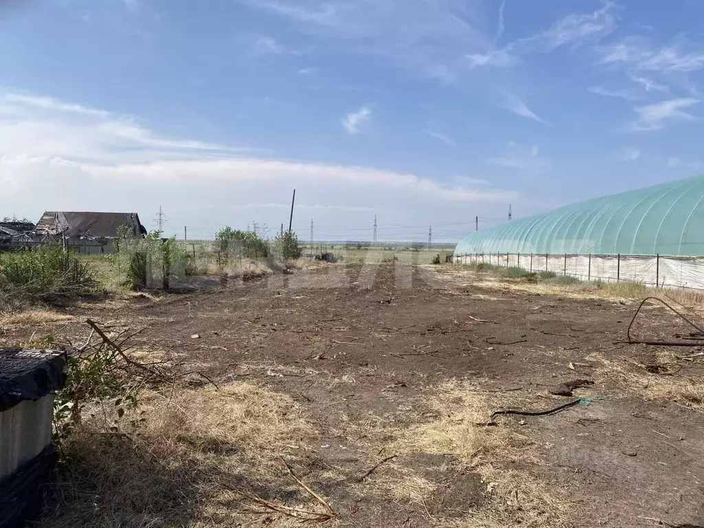 Участок в Ростовская область, Октябрьский район, Кривянское с/пос, ... - Фото 2