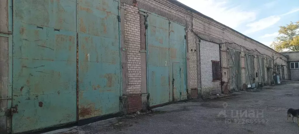 Склад в Волгоградская область, Волгоград ул. Качуевской, 6/1 (315 м) - Фото 0