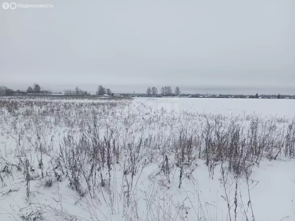 Участок в Костромской район, Шунгенское сельское поселение, деревня ... - Фото 2