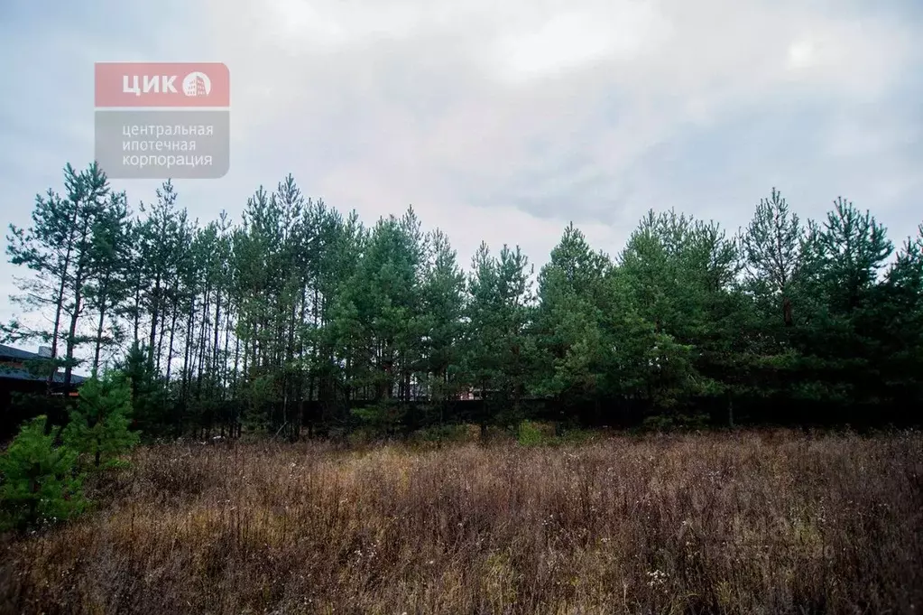 Участок в Рязанская область, Рязанский муниципальный округ, с. ... - Фото 1