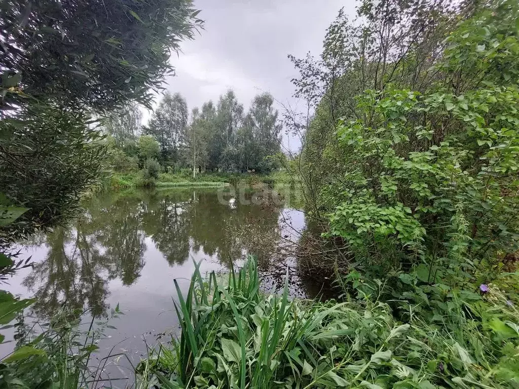 Дом в Костромская область, Костромской район, Никольское с/пос, д. ... - Фото 1