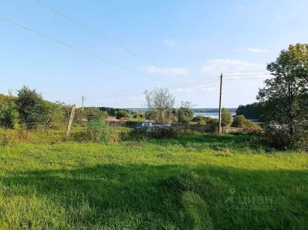 Участок в Костромская область, Красносельский район, Подольское с/пос, ... - Фото 1