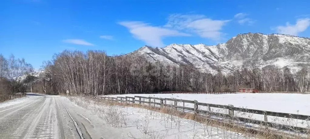 Участок в Алтай, Усть-Канский район, с. Усть-Кан  (560.0 сот.) - Фото 2