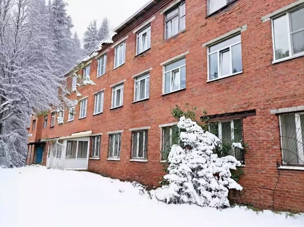 Помещение свободного назначения в Удмуртия, Ижевск ул. Карла Маркса, ... - Фото 1