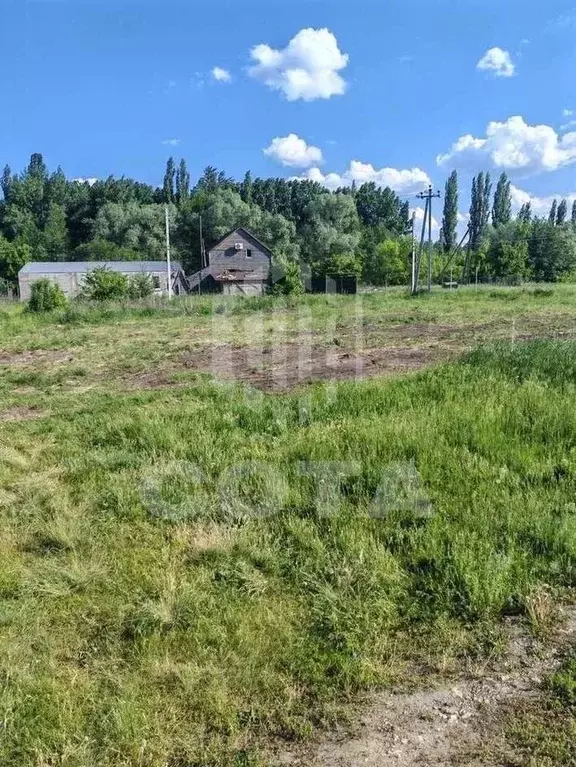 Участок в Воронежская область, Новоусманский район, Усманское 1-е ... - Фото 1