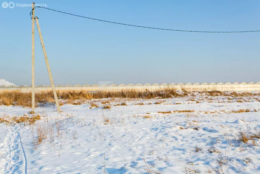 Участок в Новосибирский район, Толмачёвский сельсовет, село ... - Фото 0