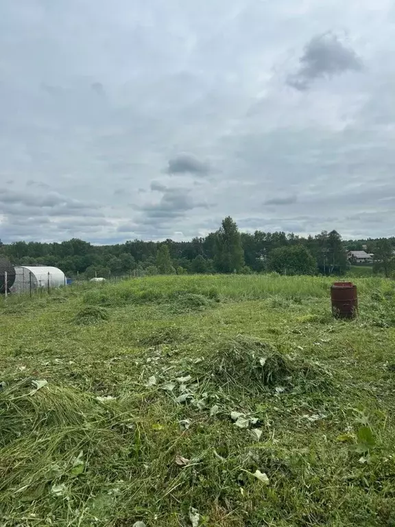 Участок в Московская область, Серпухов городской округ, д. Арнеево  ... - Фото 1