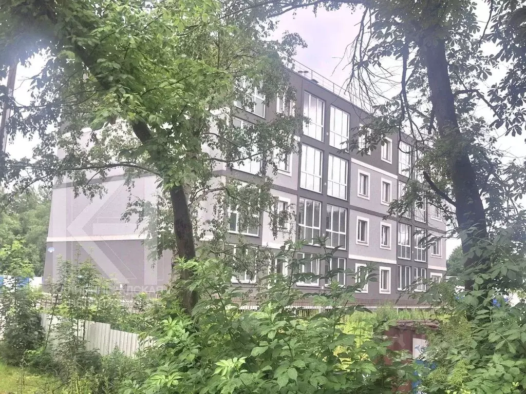 2-к кв. Калининградская область, Калининград просп. Победы, 257 (62.8 ... - Фото 1