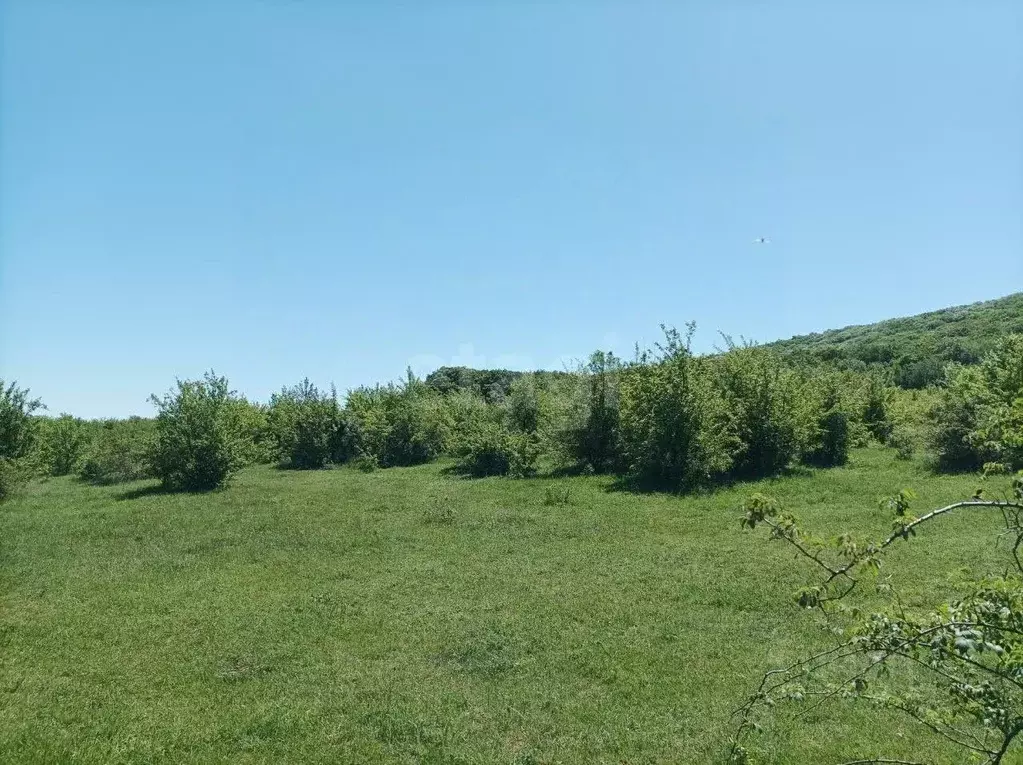 Участок в Крым, Кировский район, Старый Крым городское поселение пер. ... - Фото 1