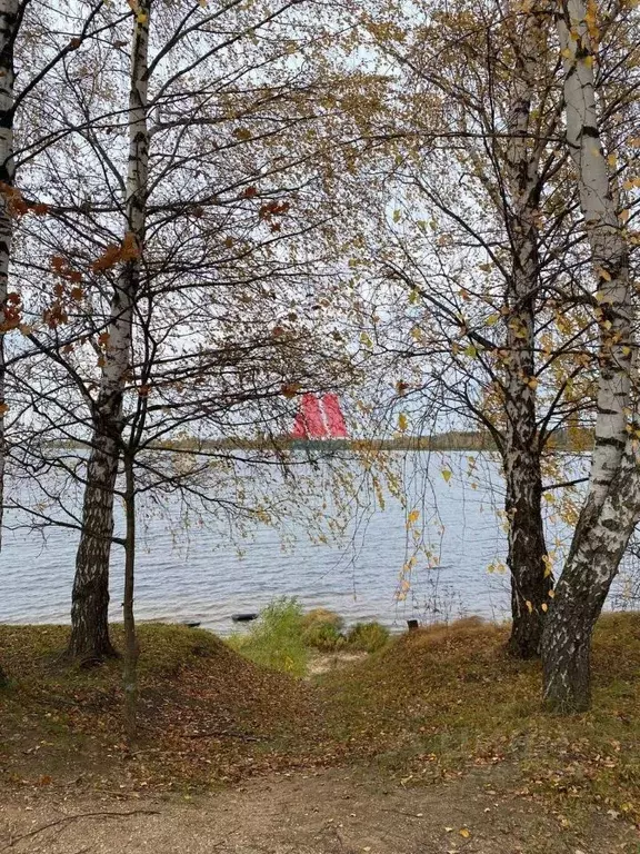 Участок в Ярославская область, Ярославский муниципальный округ, д. ... - Фото 0