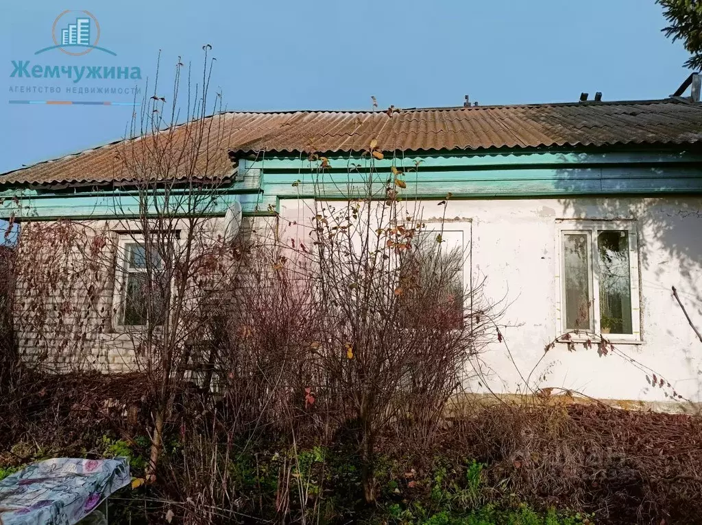 Дом в Ульяновская область, Мелекесский район, Тиинское с/пос, с. ... - Фото 1