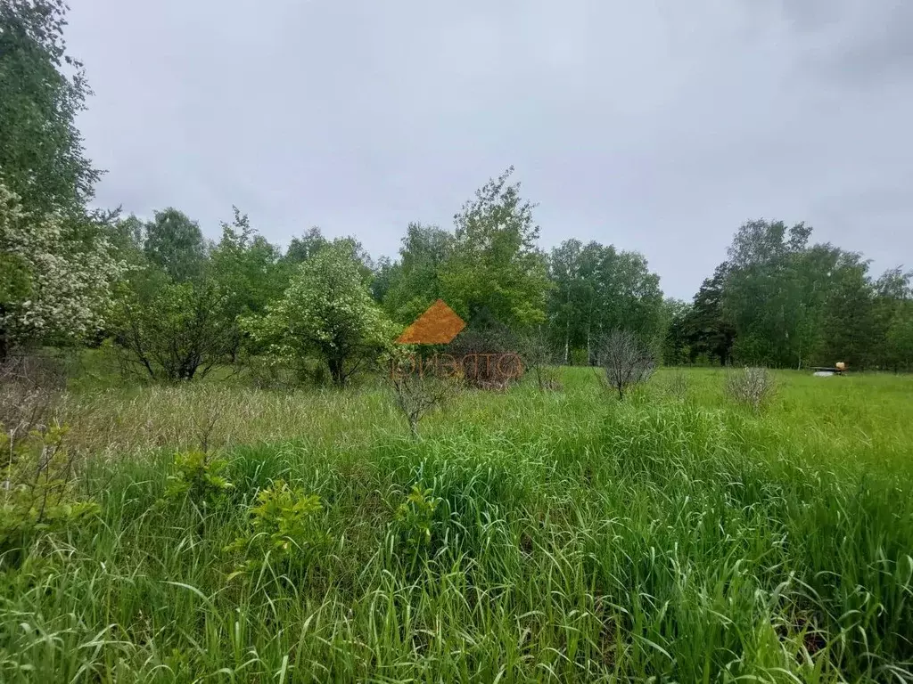 Участок в Новосибирская область, Ордынский район, Орда садовое ... - Фото 0