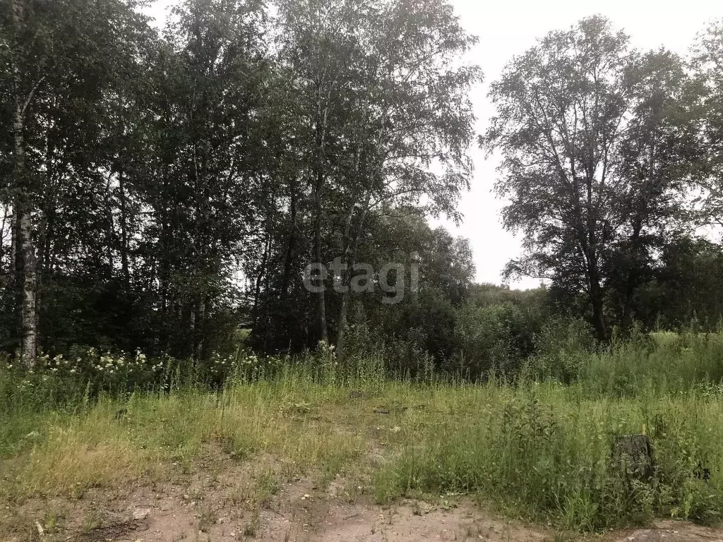 Участок в Тюменская область, Тюменский район, Рассвет СНТ ул. Садовая ... - Фото 0