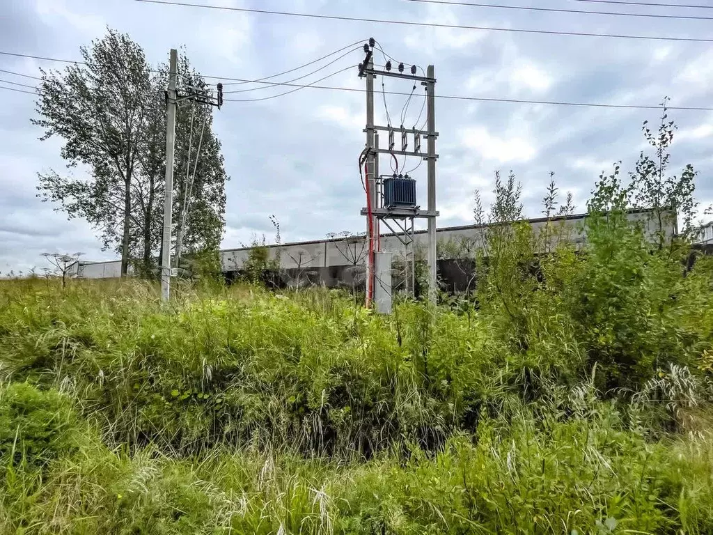 Участок в Ленинградская область, Всеволожский район, Бугровское ... - Фото 0