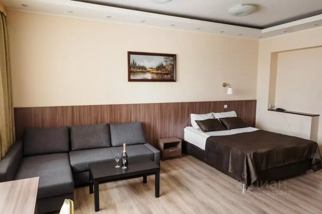 Комната Башкортостан, Уфа Революционная ул., 156 (35.0 м) - Фото 1