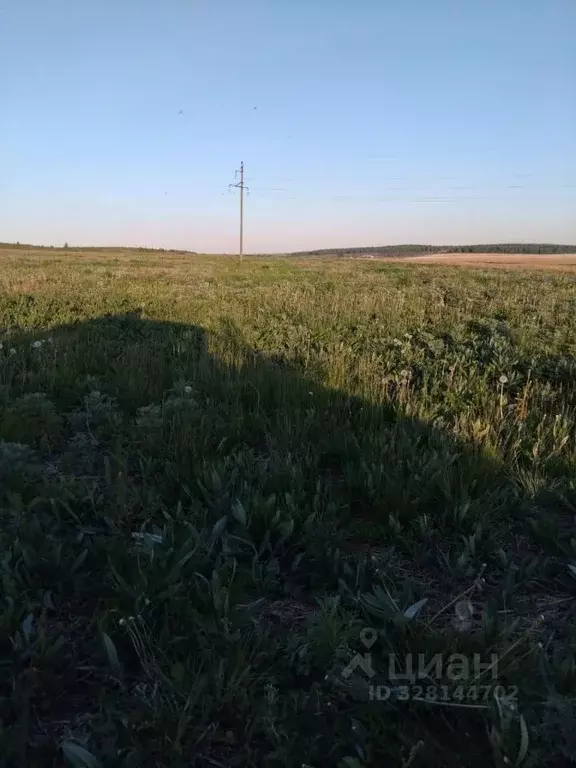 Участок в Челябинская область, Чебаркульский муниципальный округ, с. ... - Фото 2