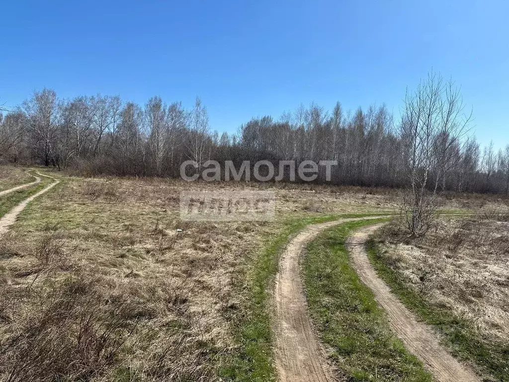 Участок в Омская область, Омск Сыропятский тракт (8.08 сот.) - Фото 0