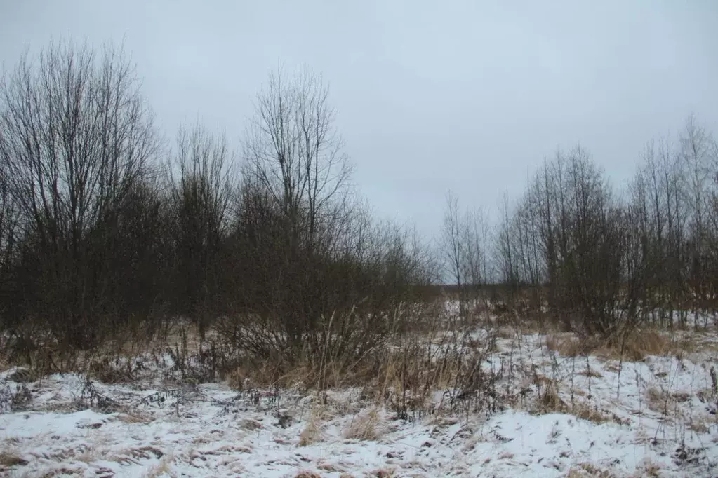 Участок в Московская область, Шаховская муниципальный округ, д. ... - Фото 1