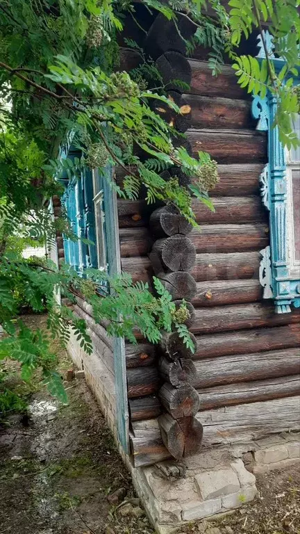 Дом 53,7 м на участке 15 сот. - Фото 1