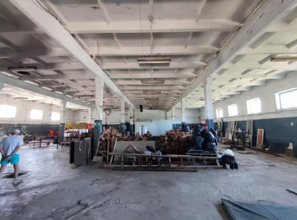 Помещение свободного назначения в Самарская область, Кинельский район, ... - Фото 1