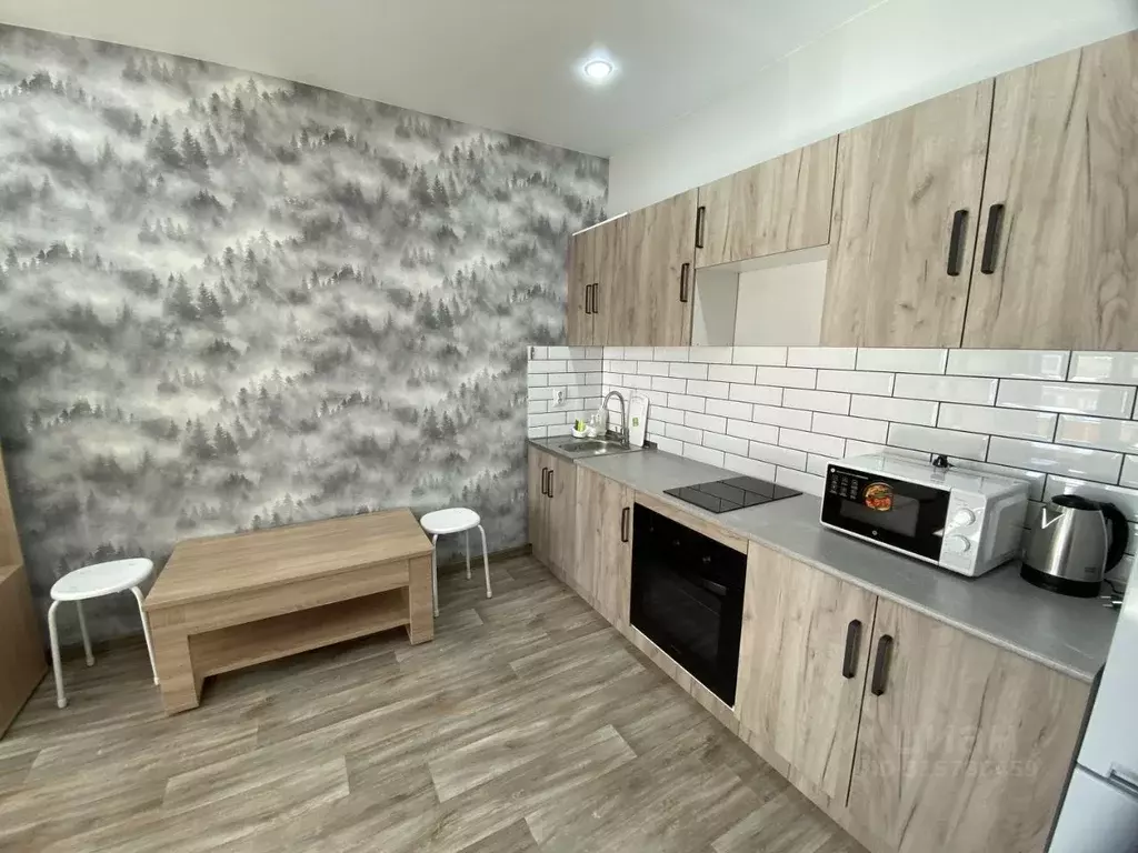 Студия Алтайский край, Барнаул Песчаная ул., 181 (28.0 м) - Фото 1