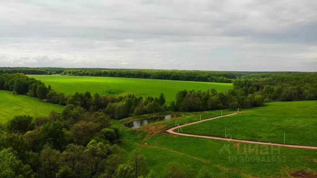 Участок в Тульская область, Заокский район, Демидовское с/пос, с. ... - Фото 1