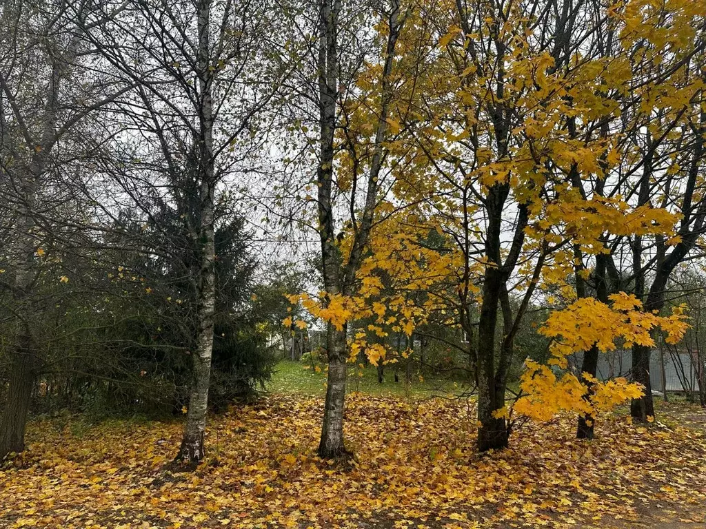 Участок в Московская область, Мытищи городской округ, с. Марфино  ... - Фото 1