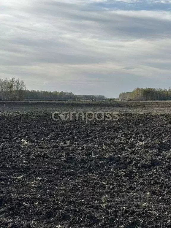 Участок в Тюменская область, Тюменский район, с. Горьковка  (8.3 сот.) - Фото 1