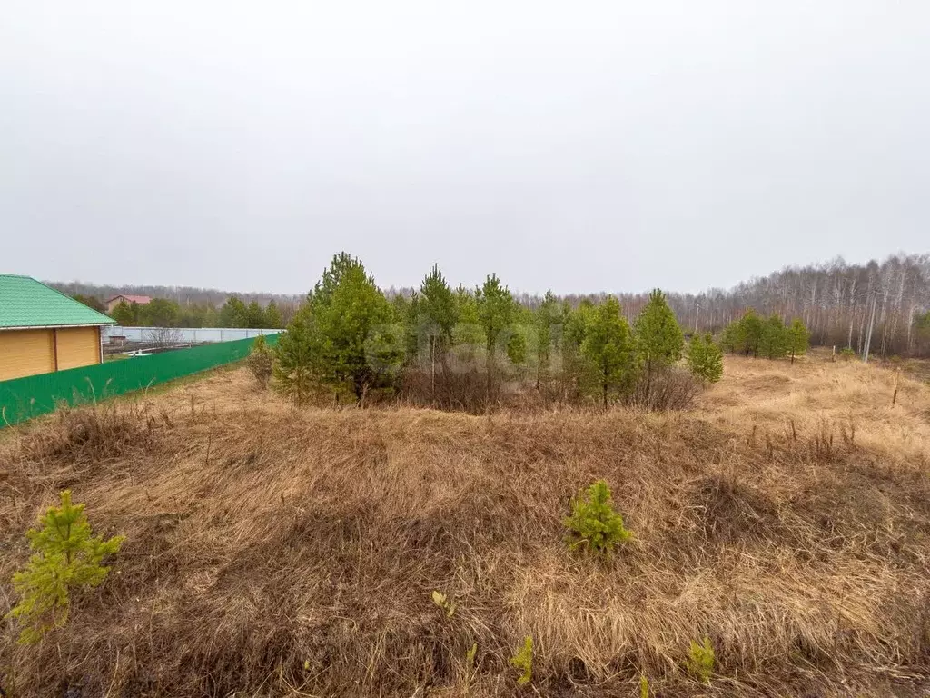 Участок в Тюменская область, Нижнетавдинский муниципальный округ, д. ... - Фото 1