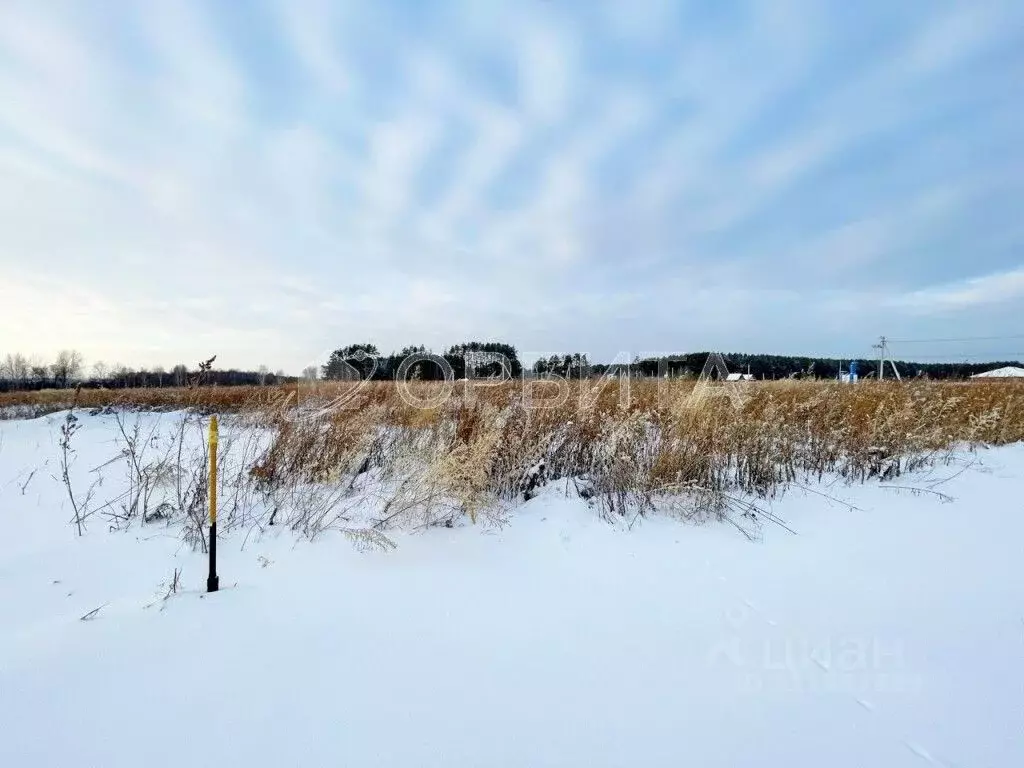 Участок в Тюменская область, Тюменский район, д. Решетникова  (8.0 ... - Фото 0