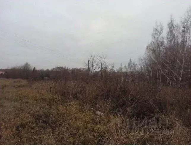 Участок в Московская область, Зарайск муниципальный округ, д. Болотня  ... - Фото 1