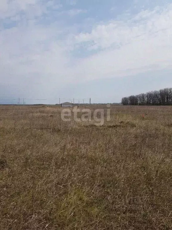 Участок в Липецкая область, Чаплыгин ул. Отрадная (10.0 сот.) - Фото 1