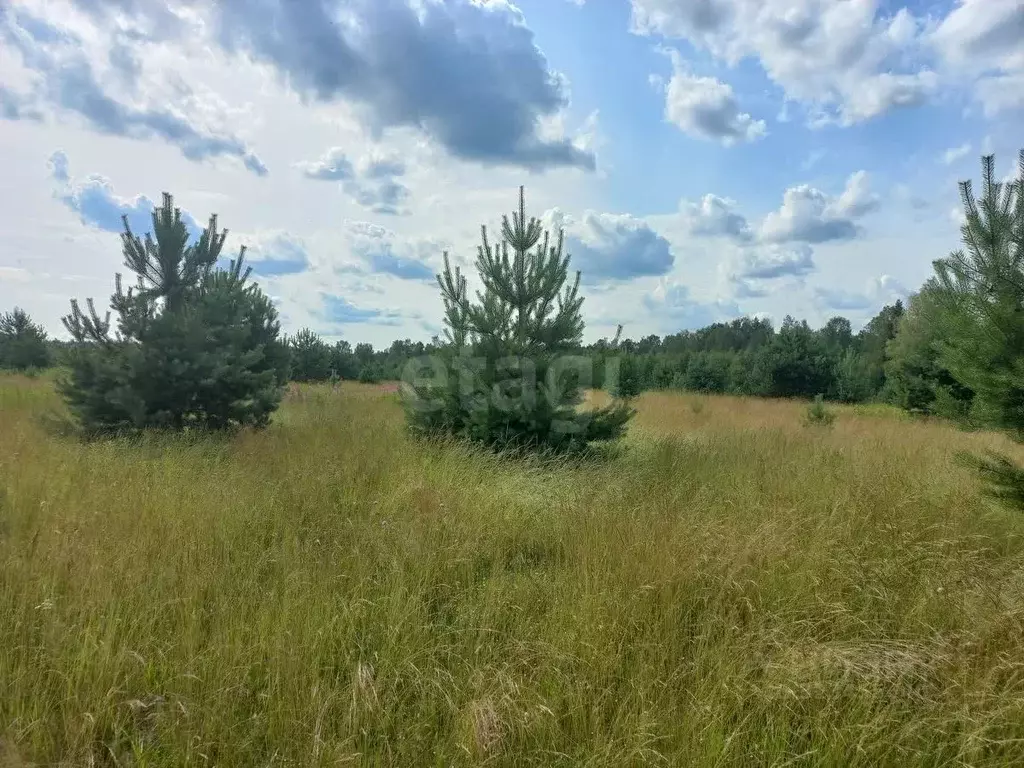 Участок в Ярославская область, Большесельский муниципальный округ, с. ... - Фото 1