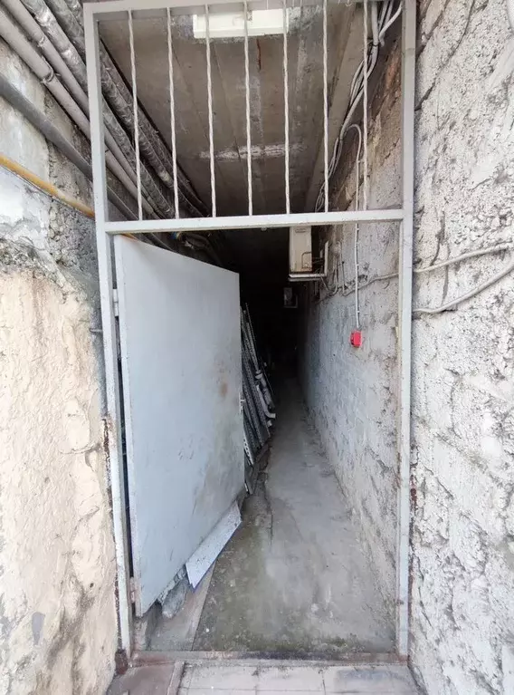 Помещение свободного назначения в Краснодарский край, Сочи ул. ... - Фото 0