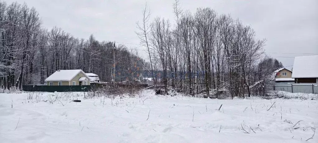 Участок в Нижегородская область, Богородский муниципальный округ, ... - Фото 2