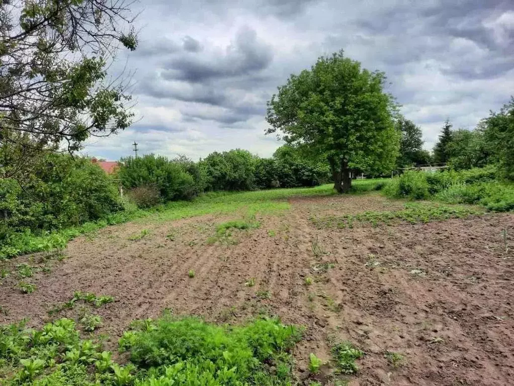 Участок в Белгородская область, Яковлевский муниципальный округ, с. ... - Фото 1