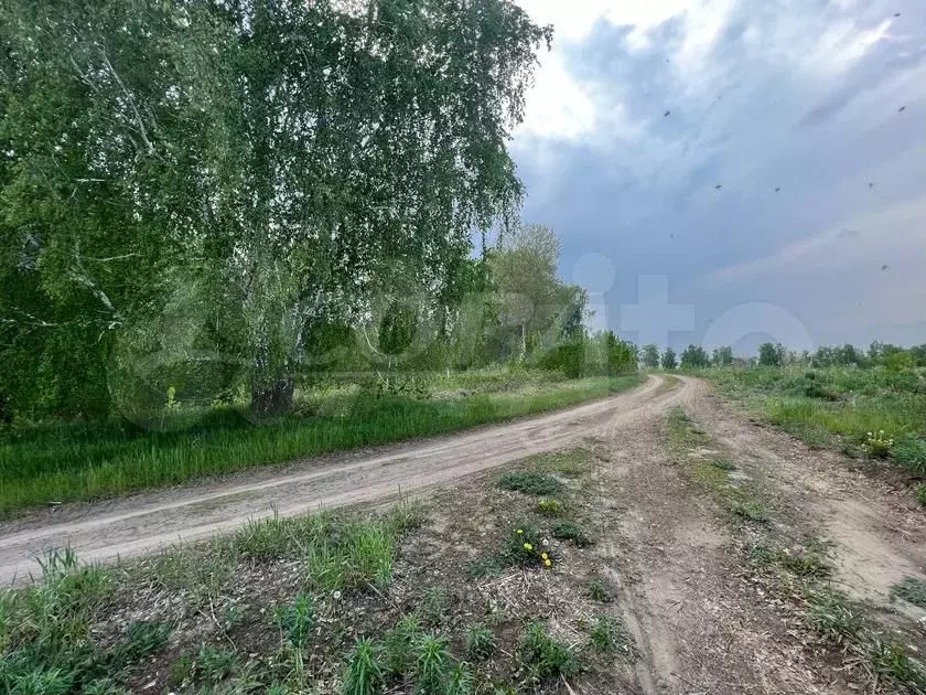 Участок 8,4 сот. (ИЖС) - Фото 1