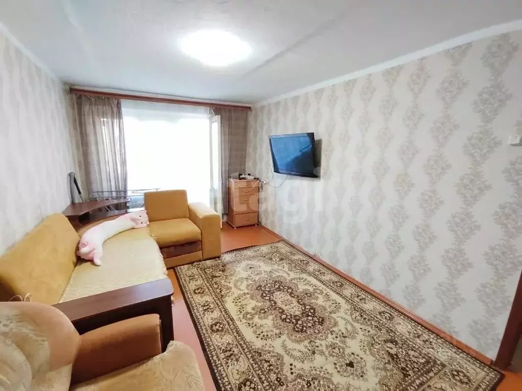 1-к кв. Камчатский край, Елизово ул. 40 лет Октября, 7 (31.0 м) - Фото 1