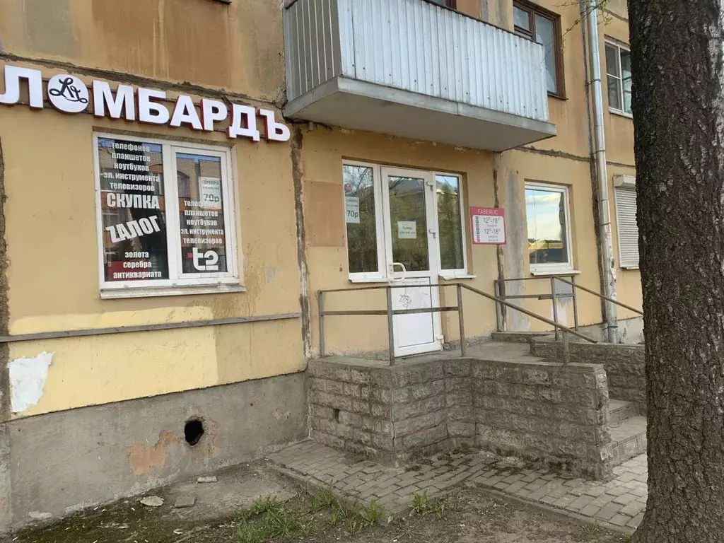 Помещение свободного назначения в Псковская область, Псков ул. Яна ... - Фото 2