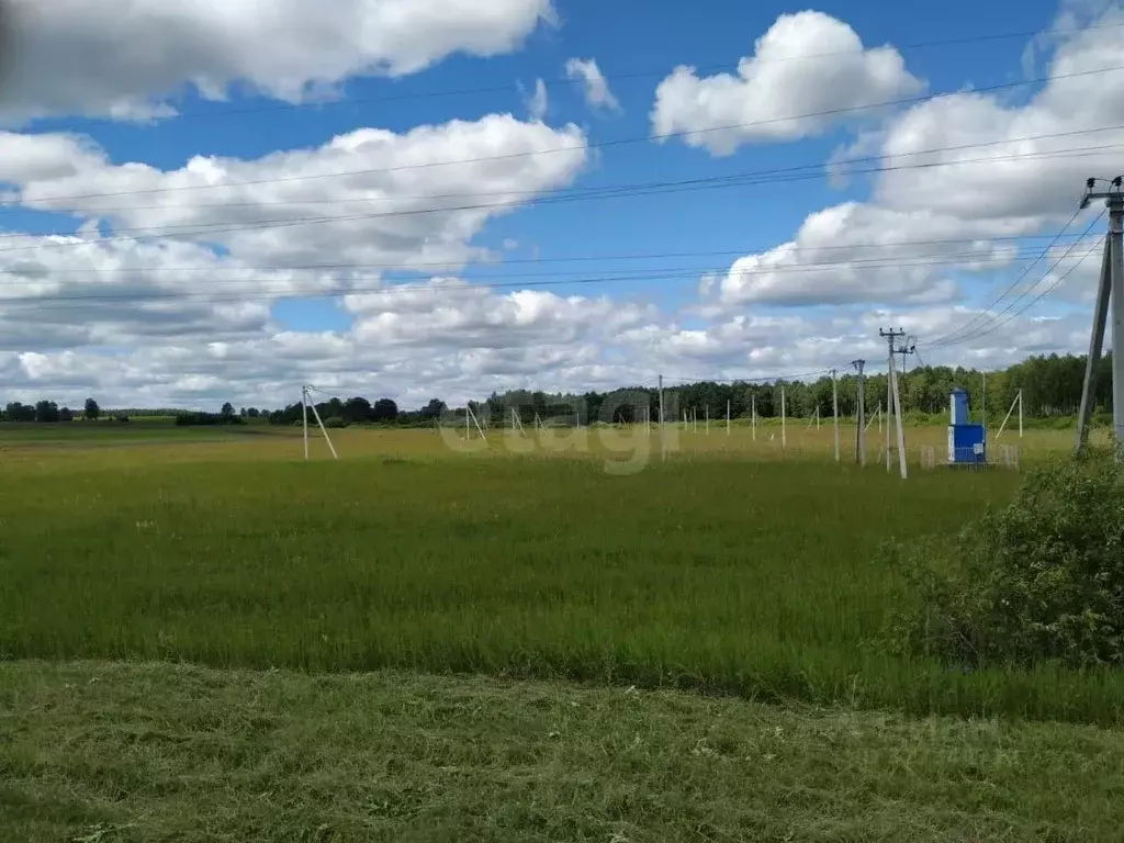 Участок в Тюменская область, Тюменский муниципальный округ, ... - Фото 1