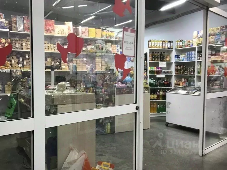 Помещение свободного назначения в Иркутская область, Иркутск ул. ... - Фото 1