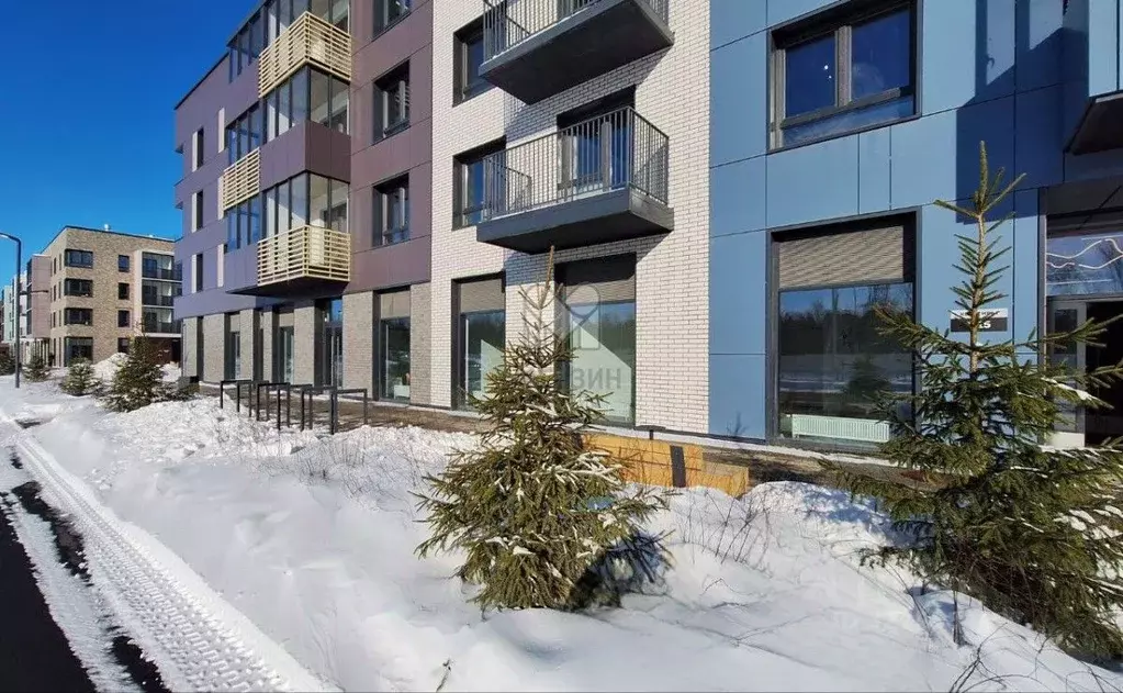 Студия Санкт-Петербург, Санкт-Петербург, Сестрорецк Авиационная ул., ... - Фото 2